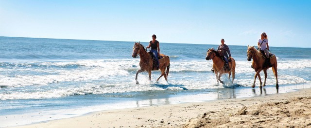 Delta del Po, un week end a cavallo in riva al mare