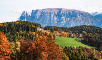 Kneipp, Törggelen e vino sul Renon