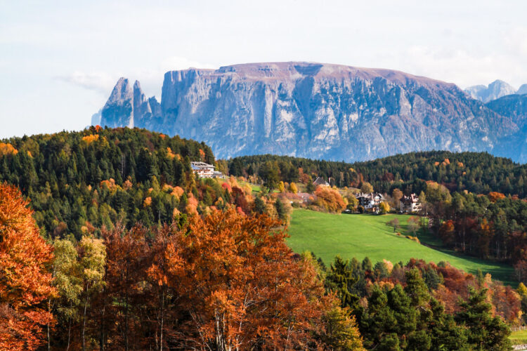 Kneipp, Törggelen e vino sul Renon