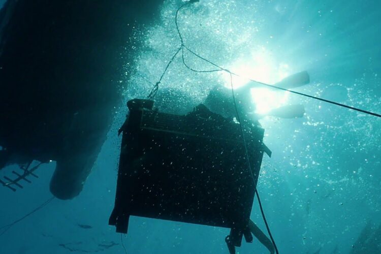 Sinus Underwater Wines, la prima cantina subacquea in Calabria