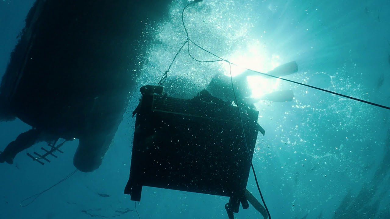 Sinus Underwater Wines, la prima cantina subacquea in Calabria